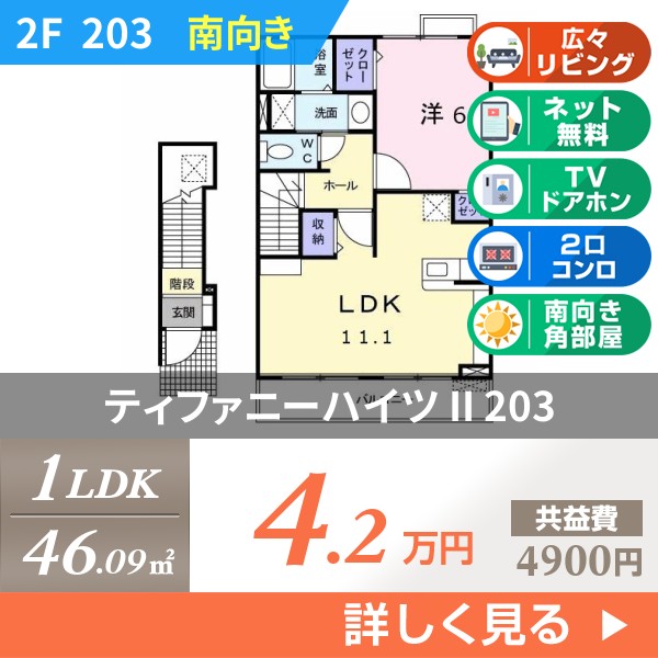 ティファニーハイツ II 203