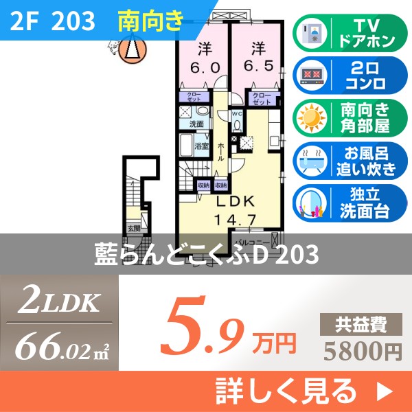 藍らんどこくふD 203