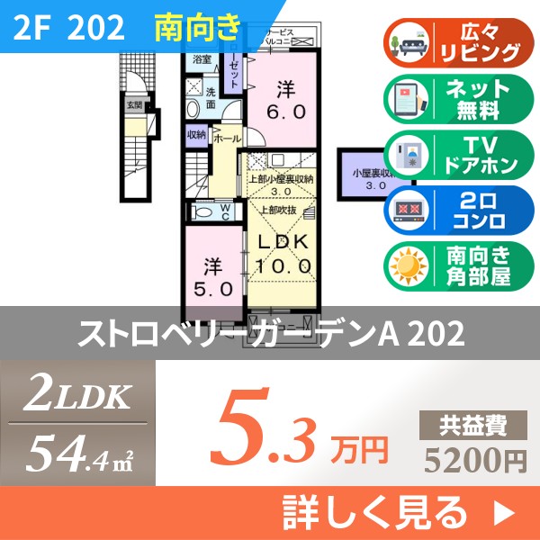 ストロベリーガーデンA 202