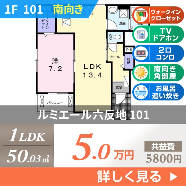 ルミエール六反地 101