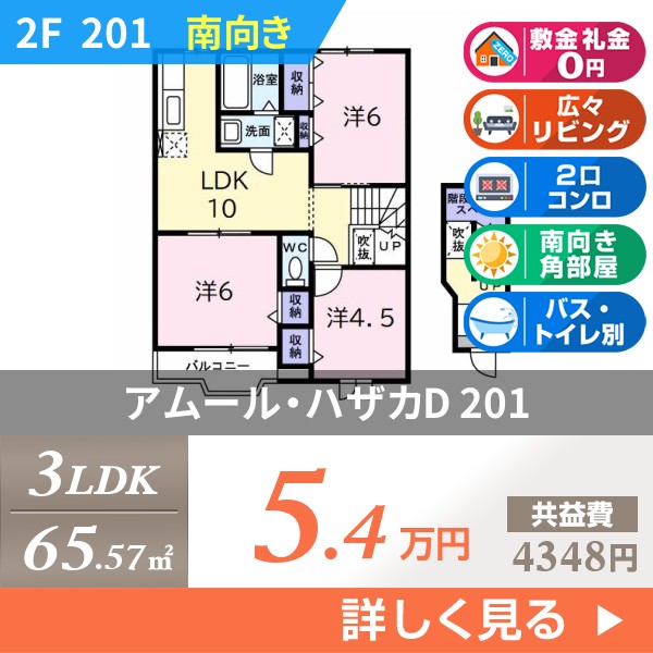 アムール・ハザカD 201