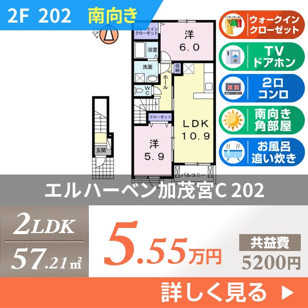 エルハーベン加茂宮C 202