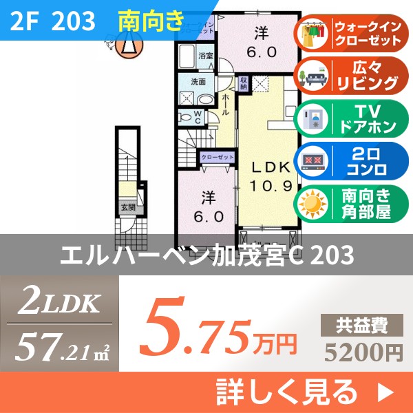 エルハーベン加茂宮C 203