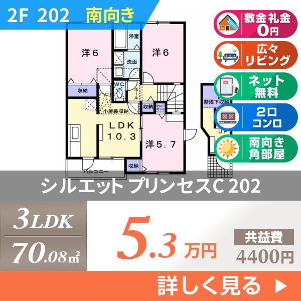 シルエット プリンセスC 202