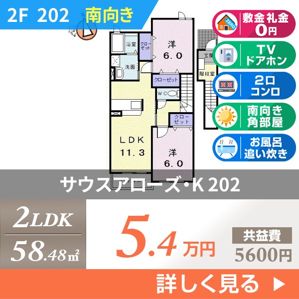 サウスアローズ・K 202