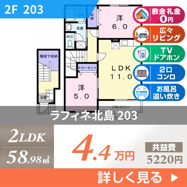 ラフィネ北島 203