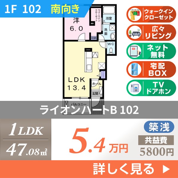 ライオンハートB 102