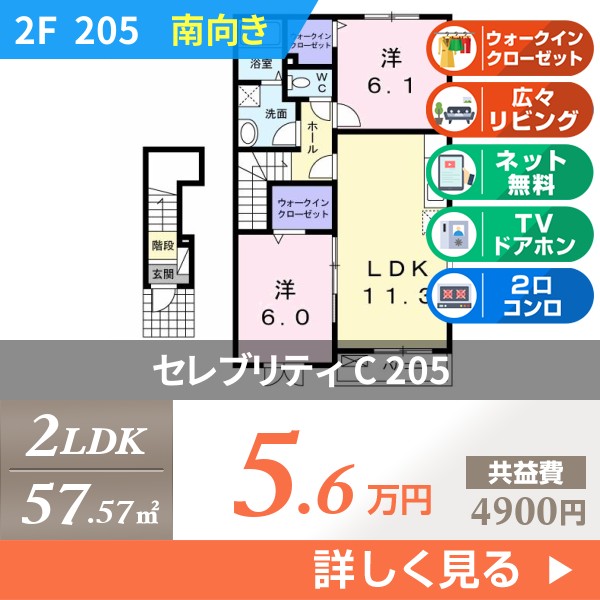 セレブリティ C 205
