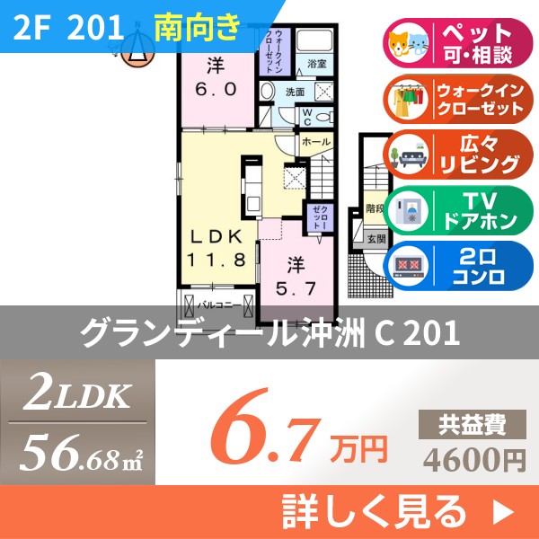 グランディール沖洲 C 201