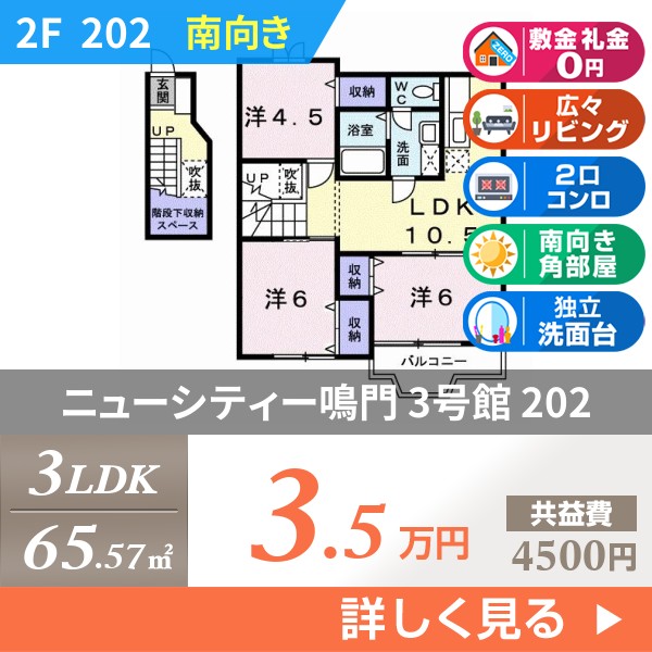 ニューシティー鳴門 3号館 202