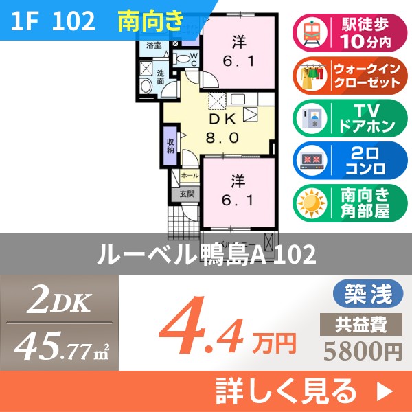 ルーベル鴨島A 102