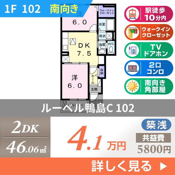 ルーベル鴨島C 102