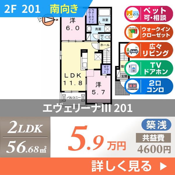 エヴェリーナIII 201