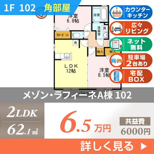 メゾン・ラフィーネA棟 102