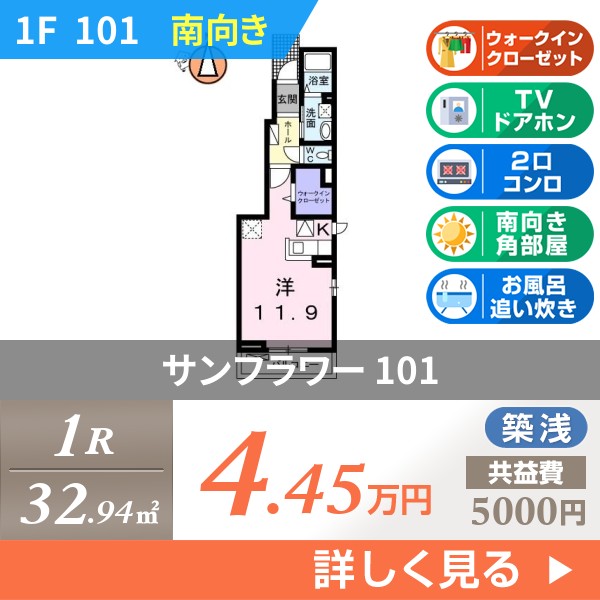 サンフラワー 101