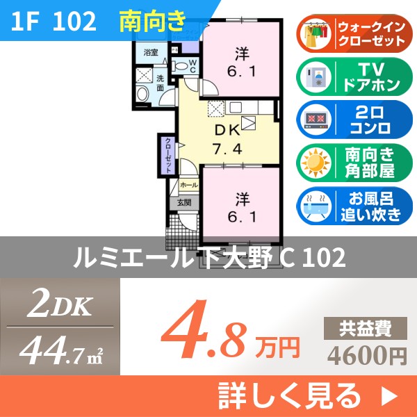 ルミエール下大野 C 102