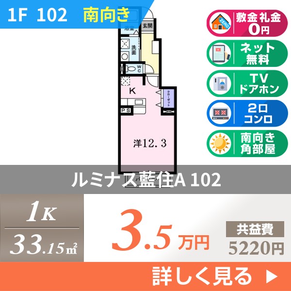 ルミナス藍住A 102