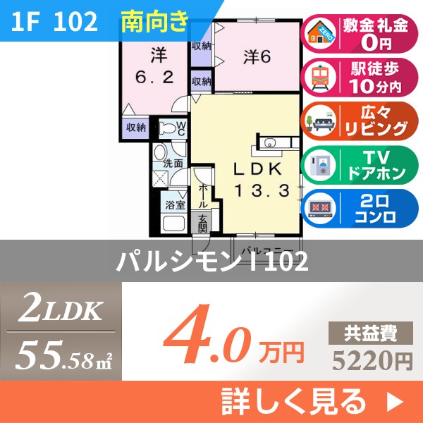 パルシモン I 102