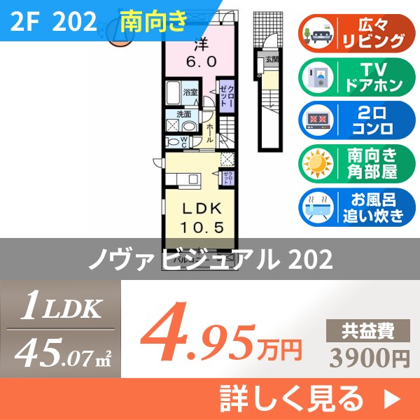 ノヴァ ビジュアル 202