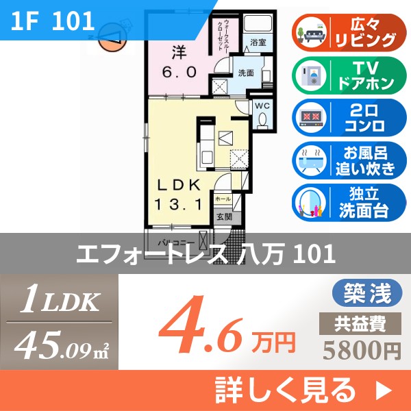 エフォートレス 八万 101