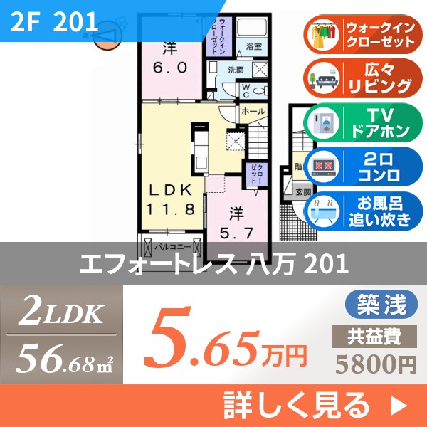 エフォートレス 八万 201
