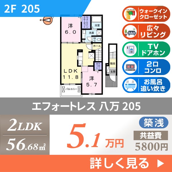 エフォートレス 八万 205