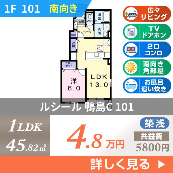 ルシール 鴨島C 101
