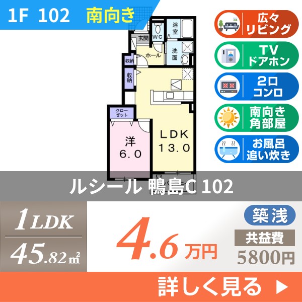 ルシール 鴨島C 102