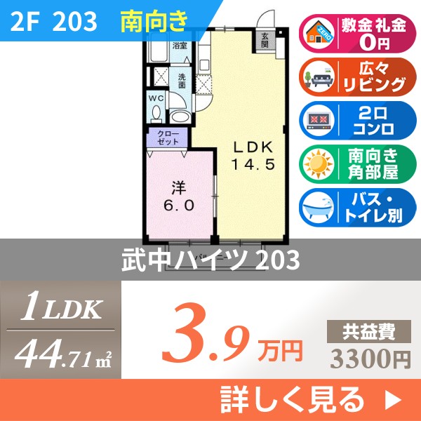 武中ハイツ 203