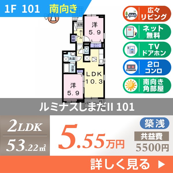 ルミナスしまだII 101