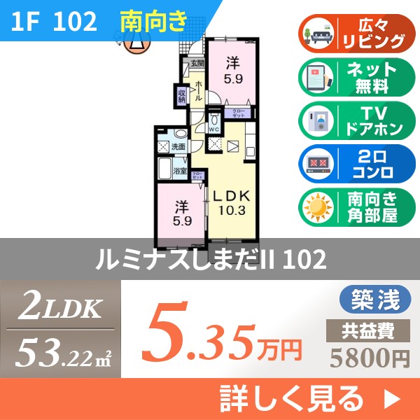 ルミナスしまだII 102