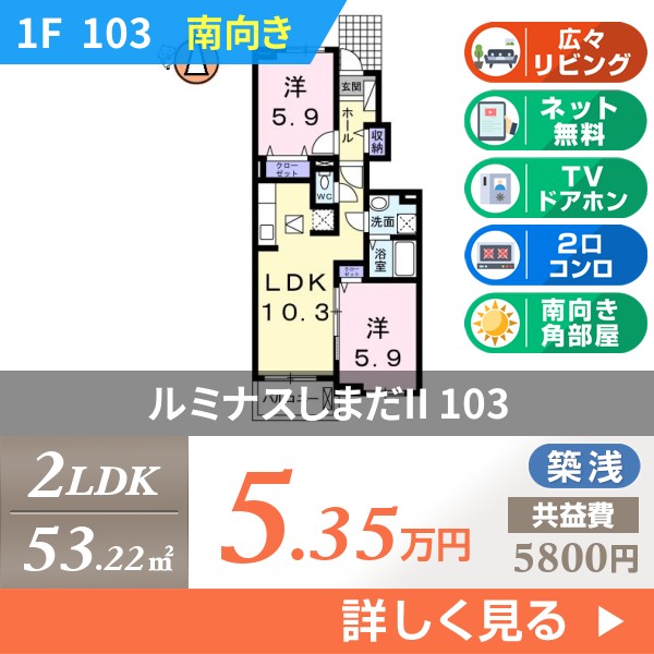 ルミナスしまだII 103