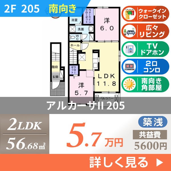 アルカーサII 205