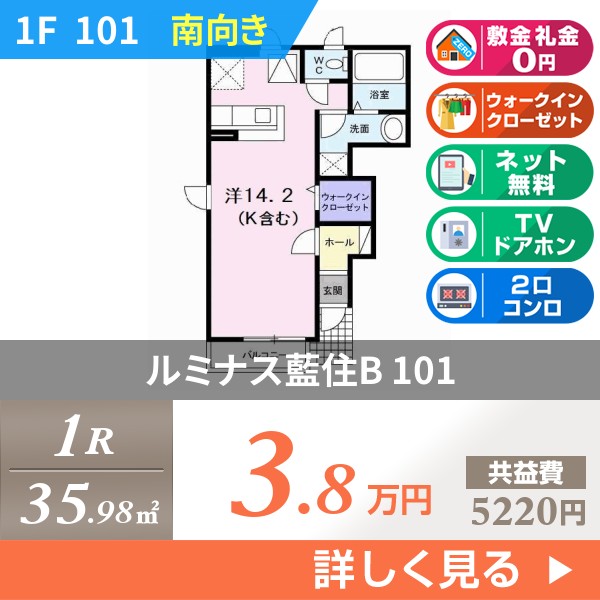 ルミナス藍住B 101