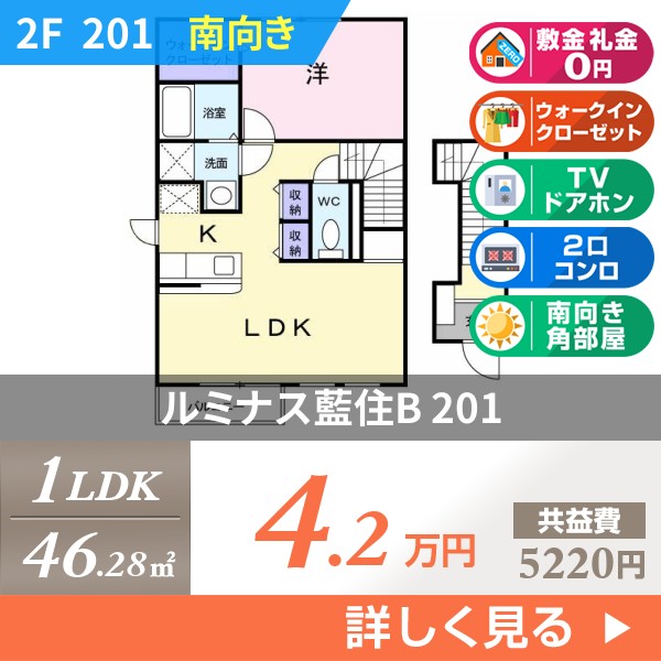 ルミナス藍住B 201