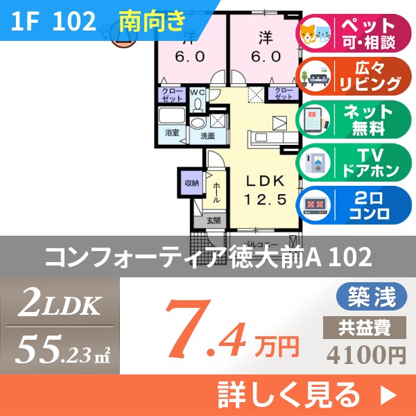 コンフォーティア徳大前A 102