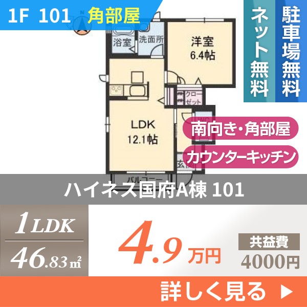ハイネス国府A棟 101