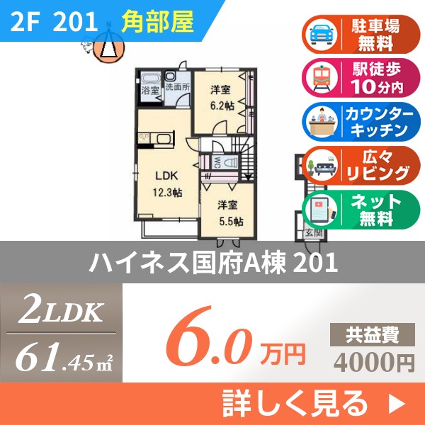 ハイネス国府A棟 201