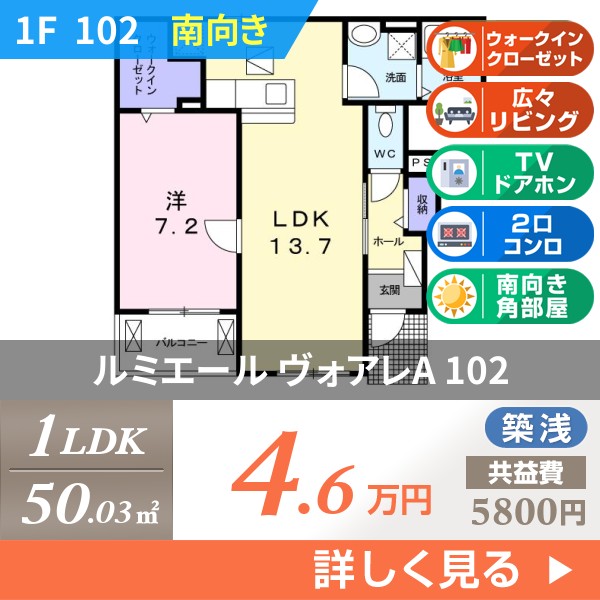 ルミエール ヴォアレA 102