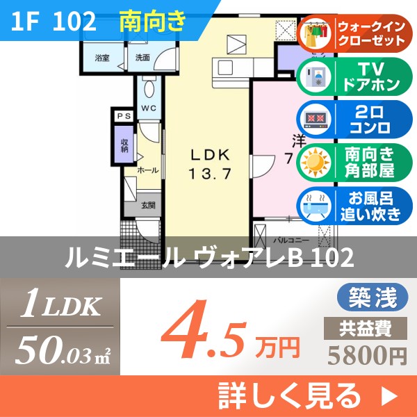 ルミエール ヴォアレB 102