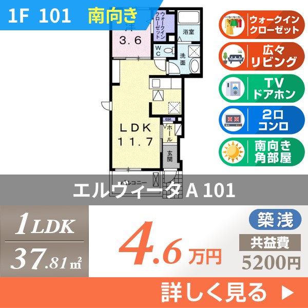 エルヴィータ A 101
