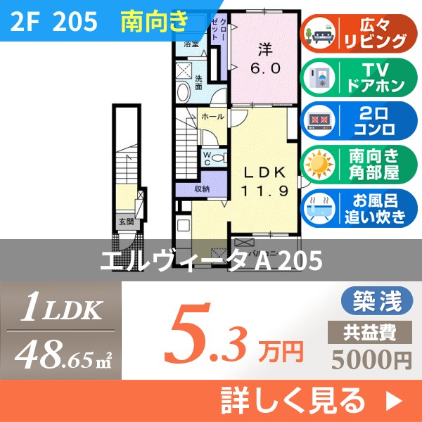 エルヴィータ A 205