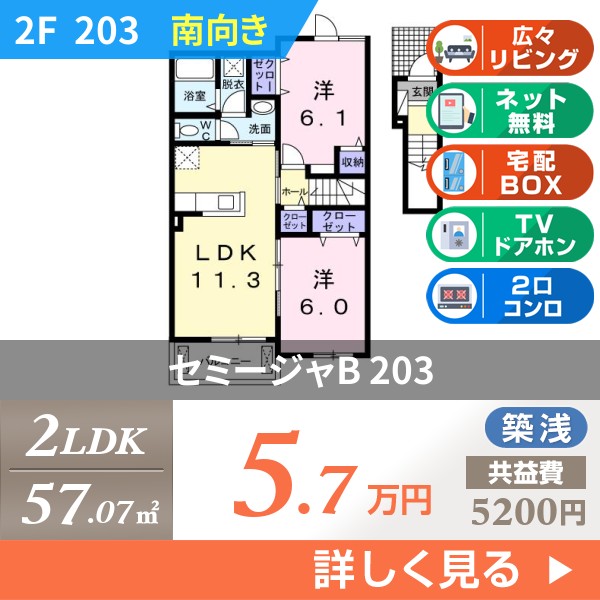 セミージャB 203