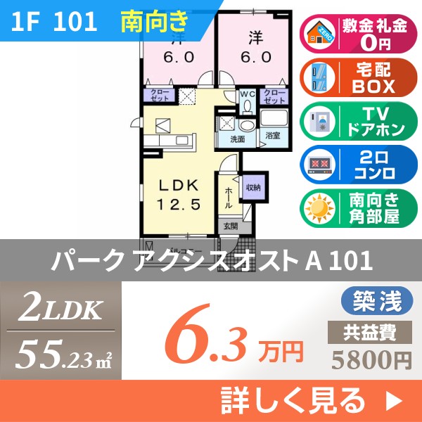 パーク アクシスオスト A 101