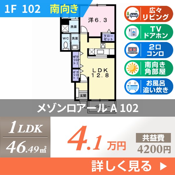 メゾンロアール A 102