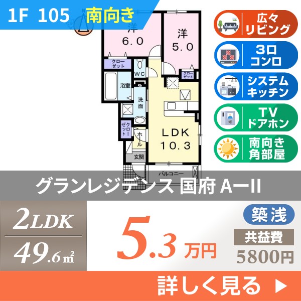 グランレジデンス 国府 AーII 105