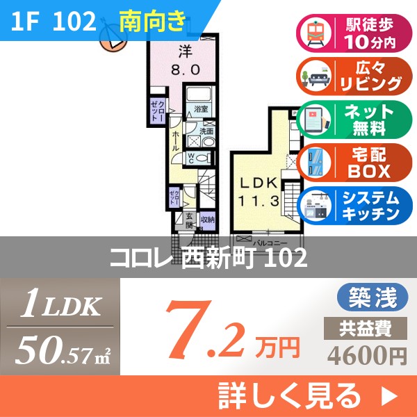 コロレ 西新町 102