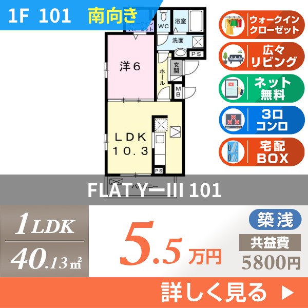 FLAT Y-III 101