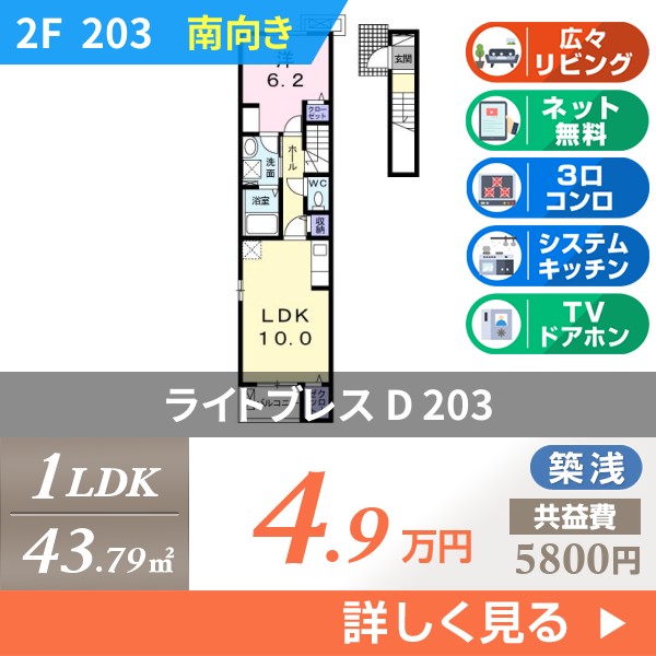 ライトブレス D 203