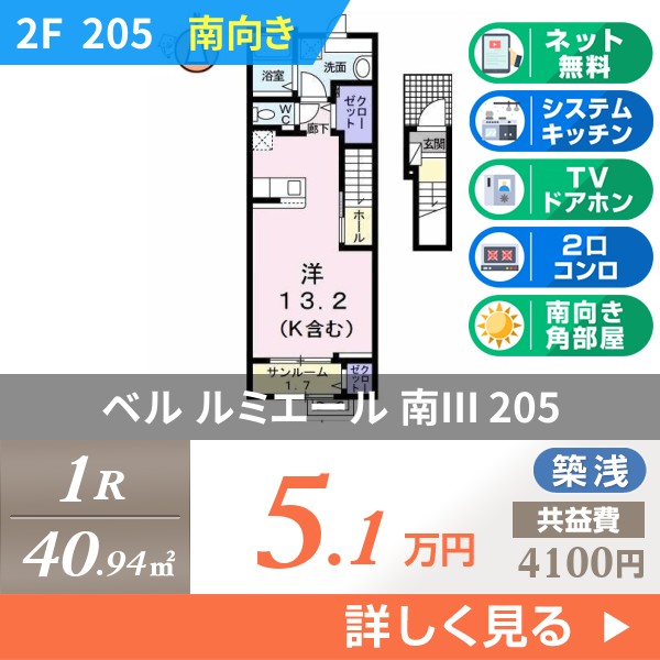 ベル ルミエール 南III 205